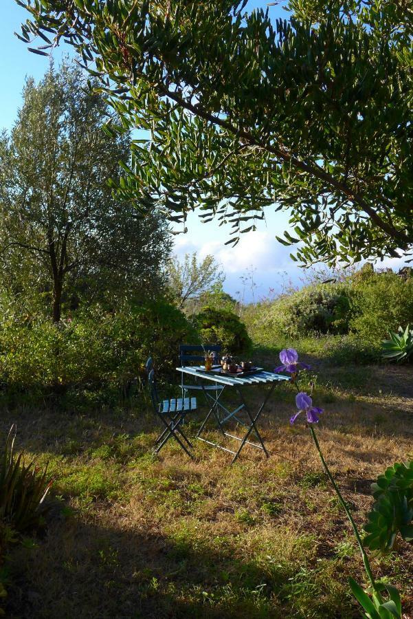 Casa Imeldo Y Eloisa Διαμέρισμα El Pinar  Εξωτερικό φωτογραφία